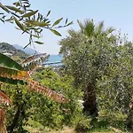 Rolling Stone Διαμέρισμα
