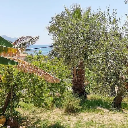 Apartman Rolling Stone Pélekasz