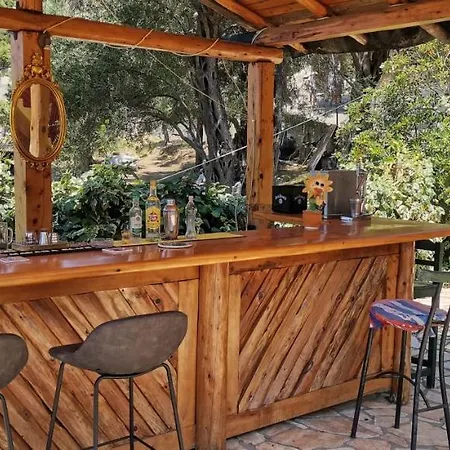 Rolling Stone Apartament *