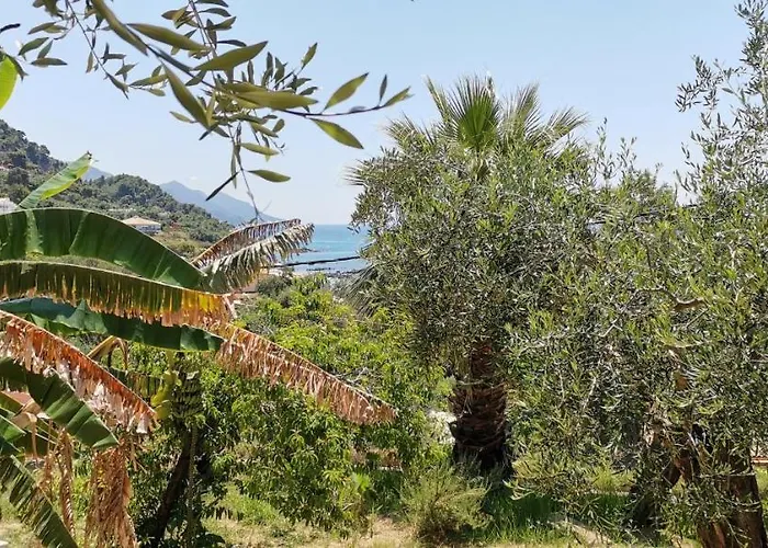 Rolling Stone 아파트